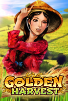 golden by 1688บาคาร่า